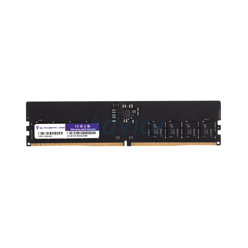 RAM DDR5 16GB BLACKBERRY